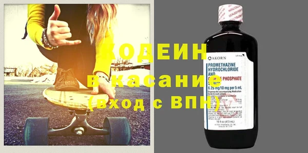 шишки Осташков
