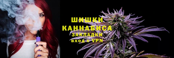 PSILOCYBIN Осинники