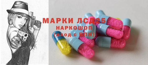 шишки Осташков