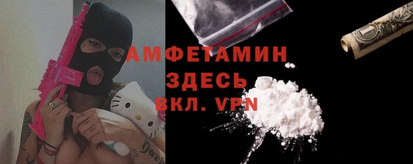 шишки Осташков
