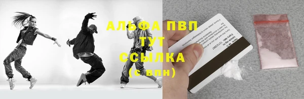 шишки Осташков