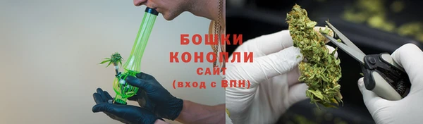 шишки Осташков