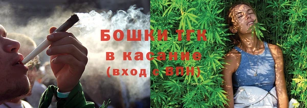 PSILOCYBIN Осинники
