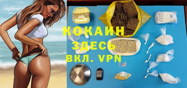 шишки Осташков