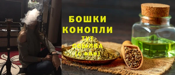 PSILOCYBIN Осинники
