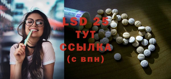 PSILOCYBIN Осинники