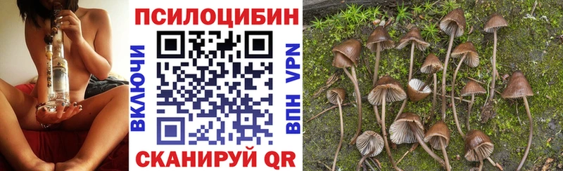 Галлюциногенные грибы прущие грибы Кодинск