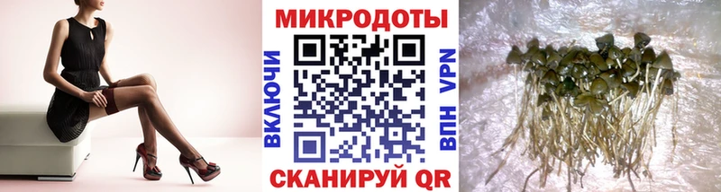 Купить где  Кодинск  Псилоцибиновые грибы Magic Shrooms 